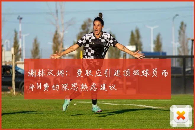 谢林汉姆：曼联应引进顶级球员而非M费的深思熟虑建议
