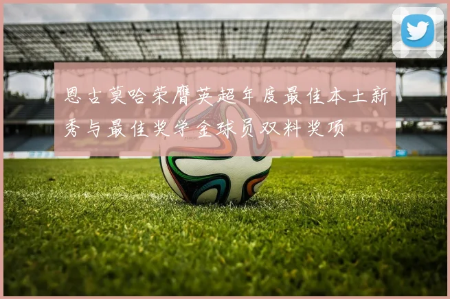 恩古莫哈荣膺英超年度最佳本土新秀与最佳奖学金球员双料奖项