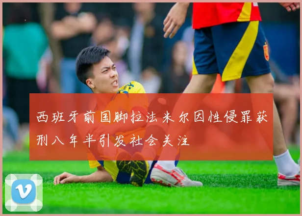 西班牙前国脚拉法米尔因性侵罪获刑八年半引发社会关注