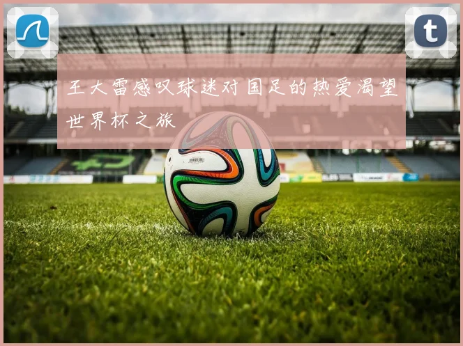 王大雷感叹球迷对国足的热爱渴望世界杯之旅